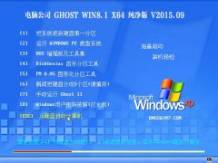 ���Թ�˾DNGS Ghost Win8.1 X64 ������ȫ�� 2015.09