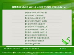 雨林木风Ghost Win10 x32位 专业纯净版V201
