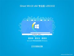 ̲ϵͳGhost Win10 (X64) רҵ V201902()