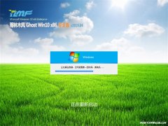 ľGhost Win10x86 ȫרҵ v201904(Զ)