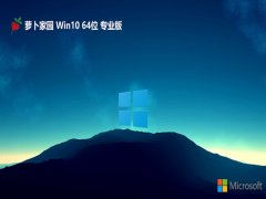 ܲ԰⼤win10 64λv2024.05