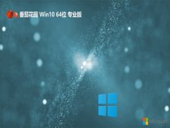 ѻ԰win10⼤64λͨðv2024.04