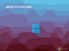 ϵͳ֮win1064λרҵ羺v2024.05