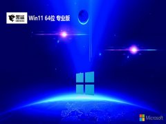 ϵͳwin11 64λ콢v2024.05