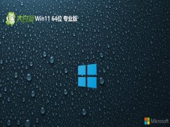 ײ⼤win11 64λüͥv2024.05